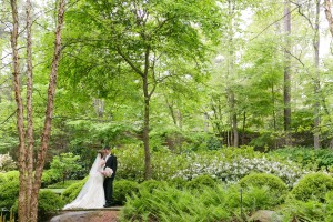 Garvan Gardens Wedding | Hot Springs Wedding Photographers