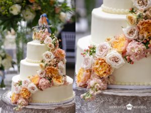 Arkansas Wedding Photographers | Little Rock Wedding Photographers